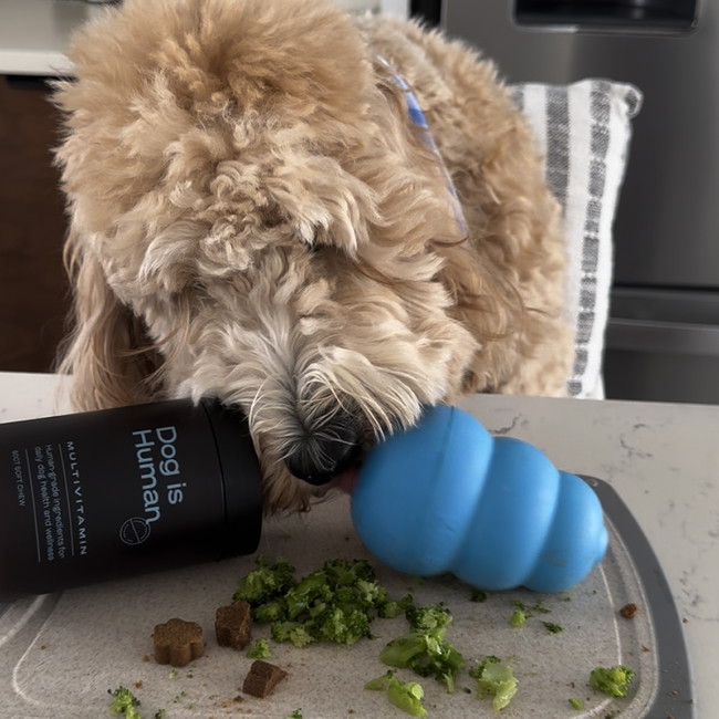 Image of 🍳Kong Omelette