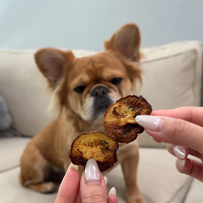 Image of 🥝Kiwi Chips