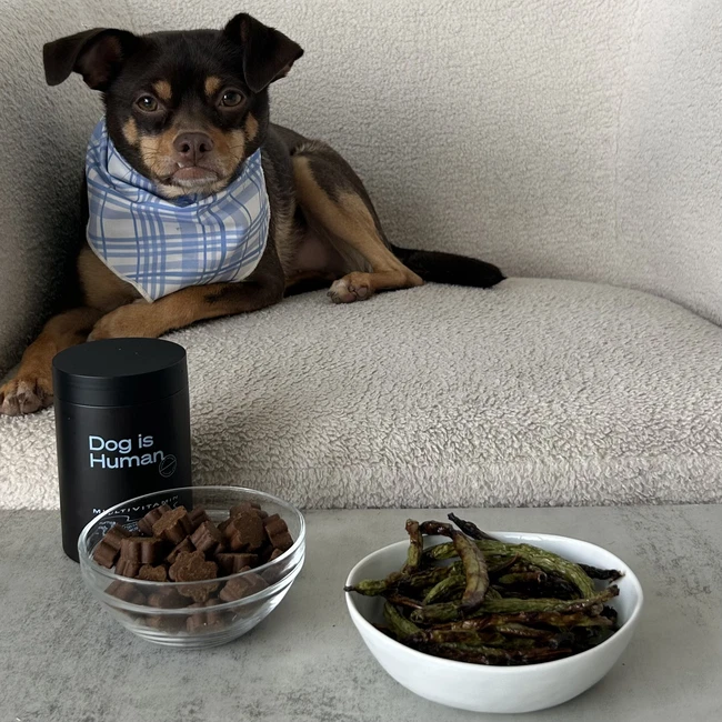 Image of 🫛Green Bean Treats