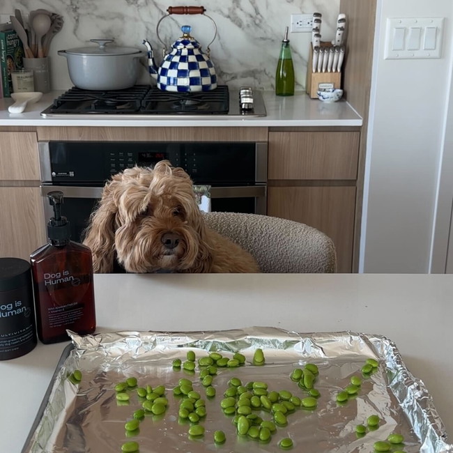 Image of 🫛Edamame Treats